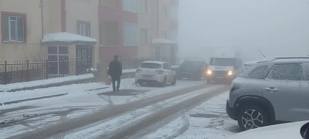 Erzurum sis ve kara teslim oldu