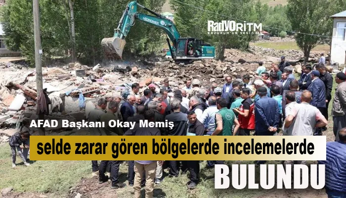 AFAD Başkanı Okay Memiş, selde zarar gören bölgelerde incelemelerde bulundu