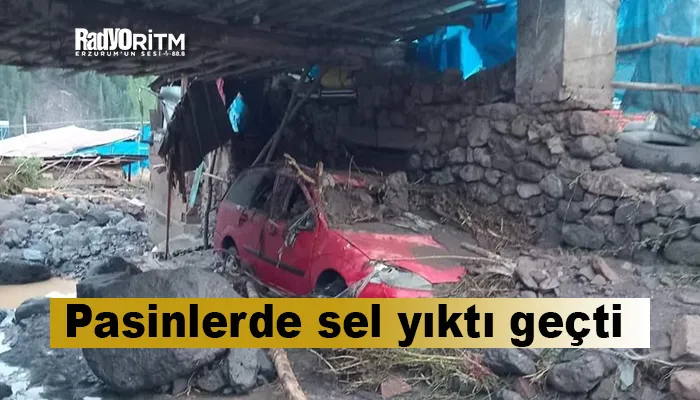 Pasinlerde sel yıktı geçti