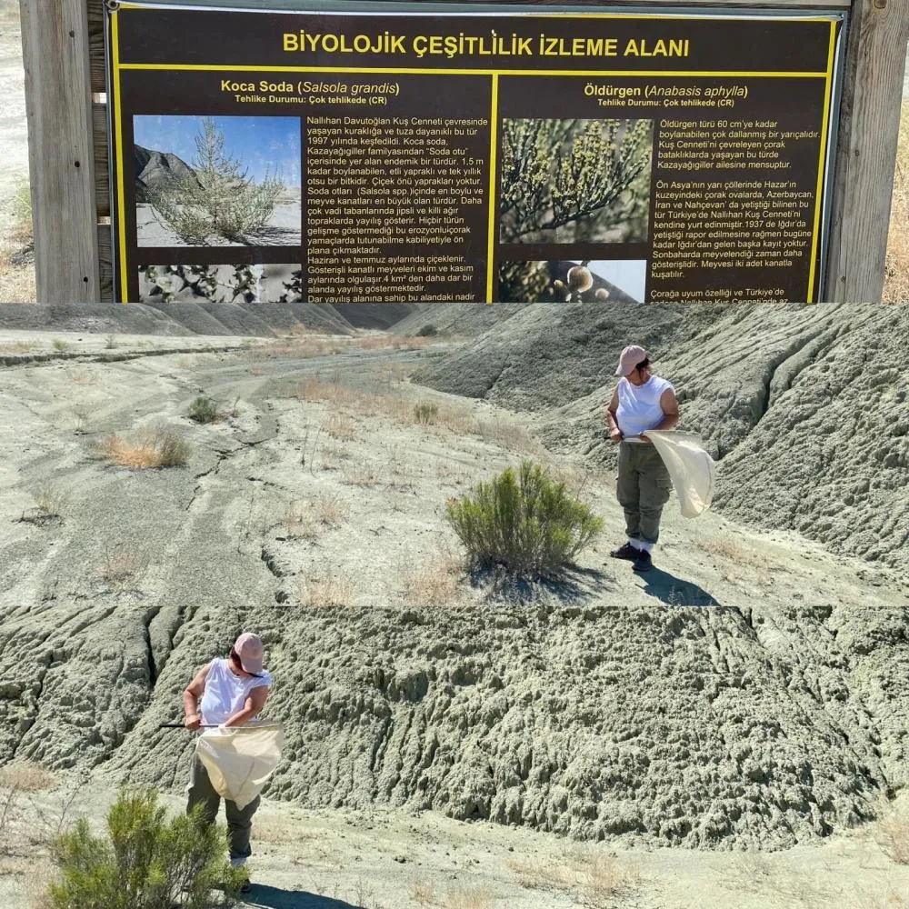 Atatürk Üniversitesinden iki uluslararası projeye Tübitak’tan 37 milyon destek