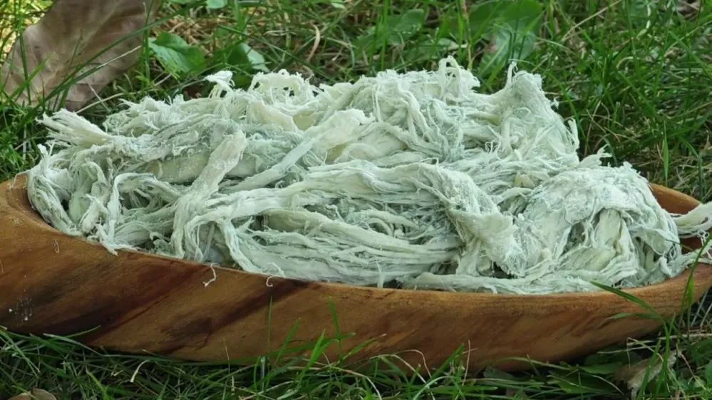 Yayladan sofraya doğal antibiyotik: Erzurum