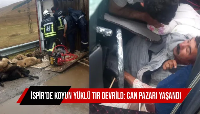 İspir’de koyun yüklü tır devrildi: Can pazarı yaşandı