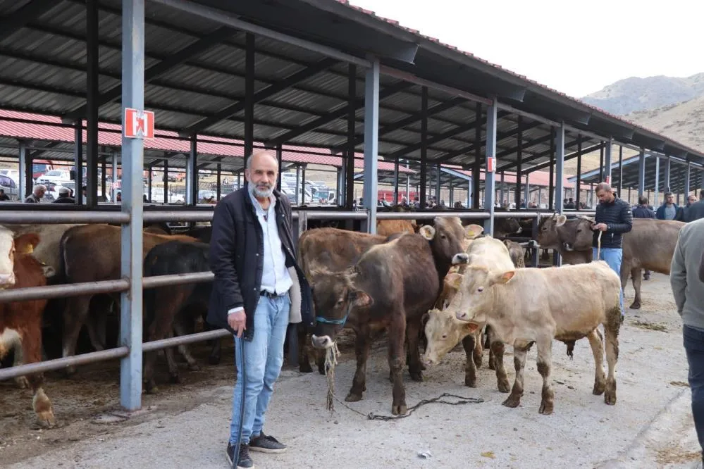 Oltu canlı hayvan pazarı şap hastalığı sonrası eski canlılığına kavuştu